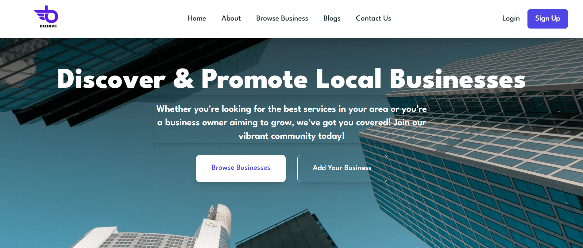BizHive – Local Business Discovery & Connection Platform preview